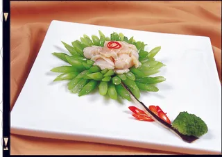 1009LC-0298菊花扇贝