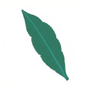 一片树叶png免抠