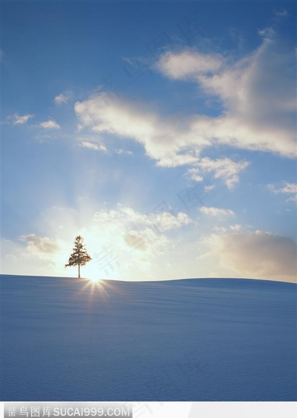 蓝天下的雪地