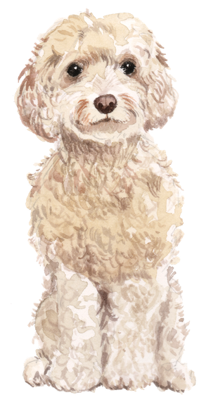 狗狗水彩画插画免扣素材可爱宠物狗