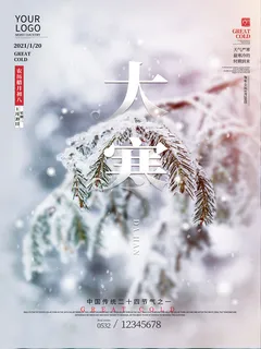 二十四24节气大寒中国传统节日冬季海报模设计素材