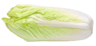大白菜 (6)超市商品白底图免抠实物摄影png格式图片透明底