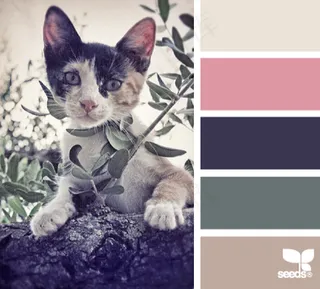 动物配色色卡色彩搭配