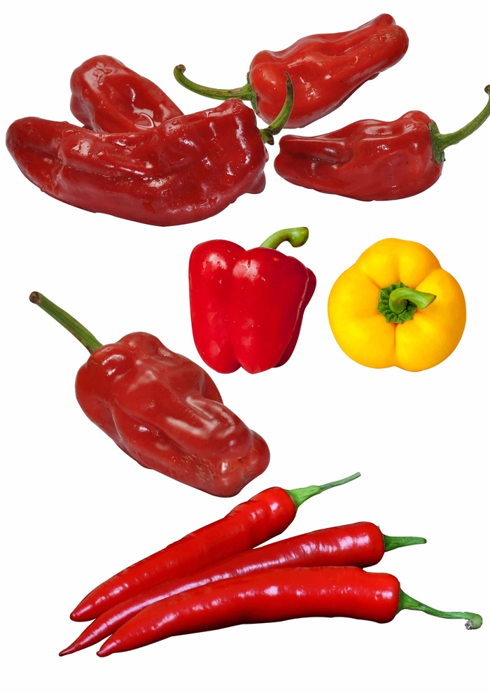 辣椒免扣图