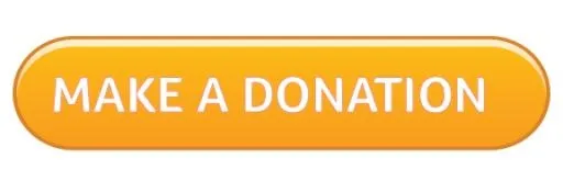 捐赠 PNG免抠(576x186)