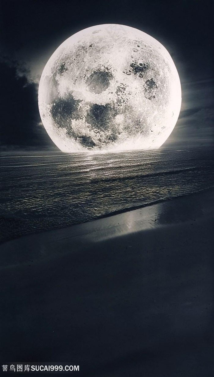 明月湖畔美景风景画
