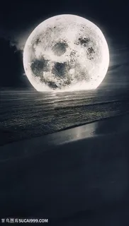 明月湖畔美景风景画 明月湖畔美景风景画