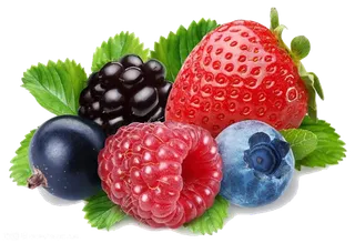 免扣 素材  水果 蔬菜6