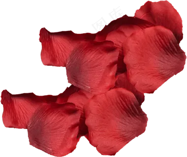 花瓣花朵免扣图片  花瓣花朵免扣图片