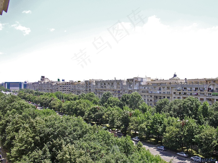 城市绿树林