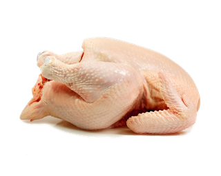 鹌鹑蛋 (超市商品白底图免抠实物摄影png格式图片透明底241