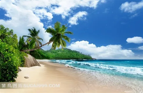 迷人的大海海景 迷人的大海海景