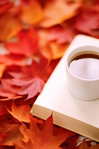 书本树叶秋叶红色简约背景