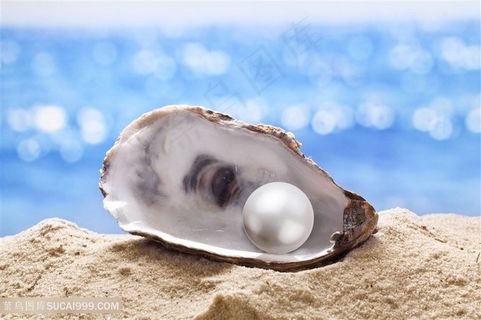 沙滩上美丽的贝壳珍珠高清珠宝图片