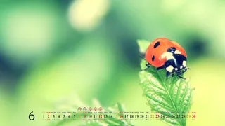 自然风光 高清壁纸 (184)