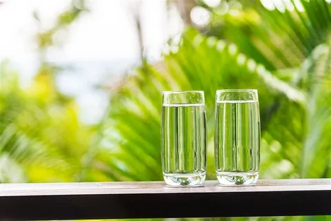 清新夏季玻璃杯热带棕榈树背景 清新夏季玻璃杯热带棕榈树背景