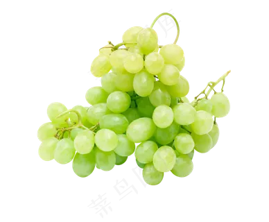 水果免扣png素材