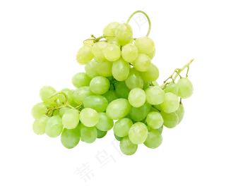 水果免扣png素材