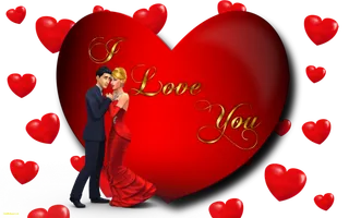 结婚伴侣情人节