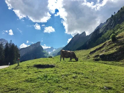 高原山地全景图片 高原山地全景图片