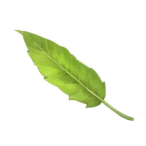 叶子树叶芭蕉叶免抠