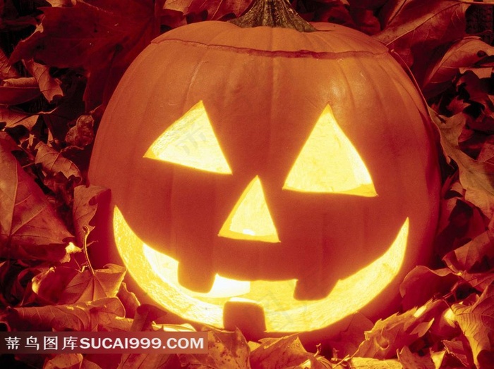 万圣节大南瓜灯笼高清图片