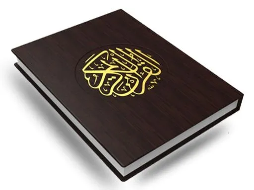 * PNG免抠(514x386)