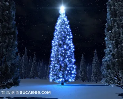 夜晚雪地发光圣诞树素材