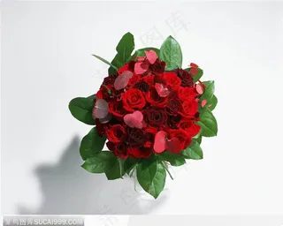 绿叶衬托的一捆红玫瑰