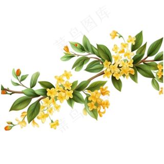 桂花黄花树枝免抠