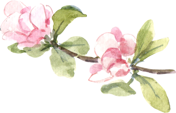 插画免抠高清素材