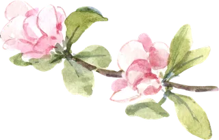 插画免抠高清素材