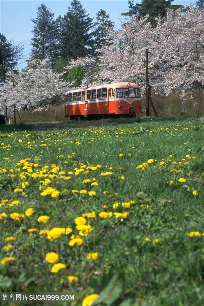 花圃唯美铁路壁纸