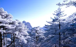 黄山雾凇图片-第7张