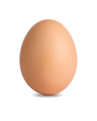 鸡蛋免抠素材
