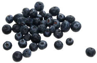 水果蓝莓黑色