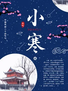 中国传统冬天小寒祝福24二十四节气节日宣传活动海报