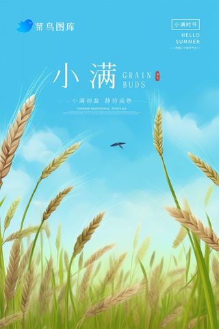 小满节气清新麦田蓝色海报