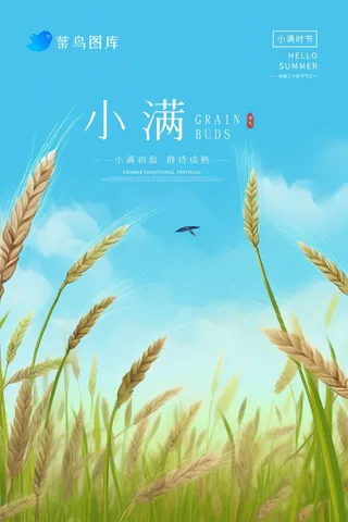 小满节气清新麦田蓝色海报