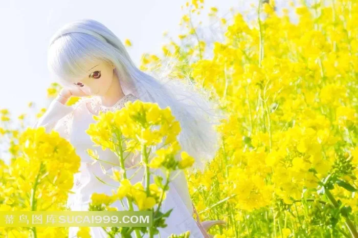 Doll 少女玩偶图片白发女孩素材