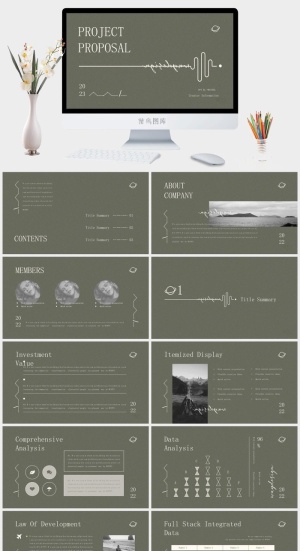 简约风insPPT模板预览图