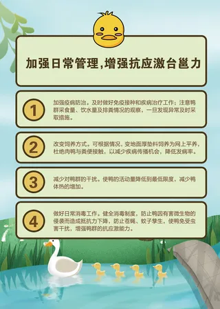 夏季肉鸭饲养管理技术