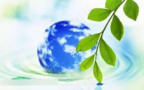 树叶水纹地球背景素材