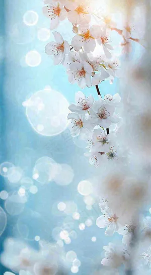 春天清新白色鲜花树枝，文艺新鲜浪漫摄影图