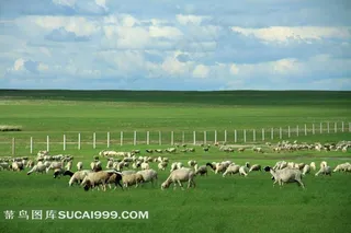 内蒙古呼伦贝尔草原牧场美景