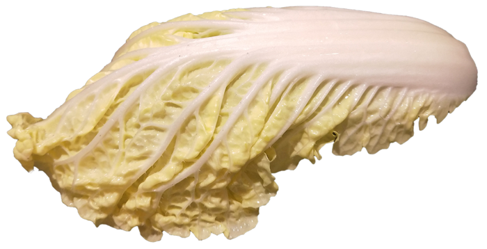 娃娃菜免抠摄影元素素材 