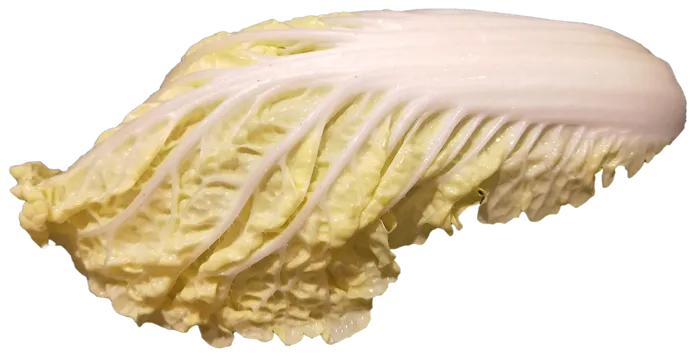 娃娃菜免抠摄影元素素材 psd模版下载