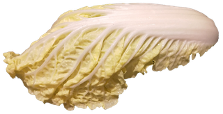 娃娃菜免抠摄影元素素材 