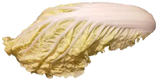 娃娃菜免抠摄影元素素材 