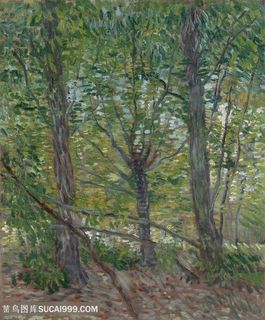 梵高树林风景油画图片